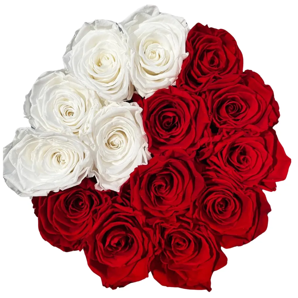 Beautiful Beast | Valentine's Day Flowers 5 Beautiful Beast | Valentine’s Day Flowers